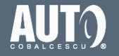 Auto Cobalcescu - Service auto Bucuresti